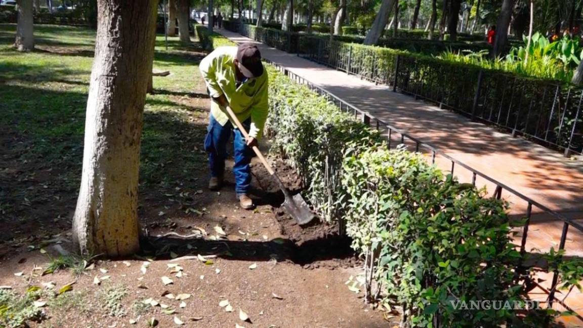 Realizan trabajos de mantenimiento en Alameda de Saltillo