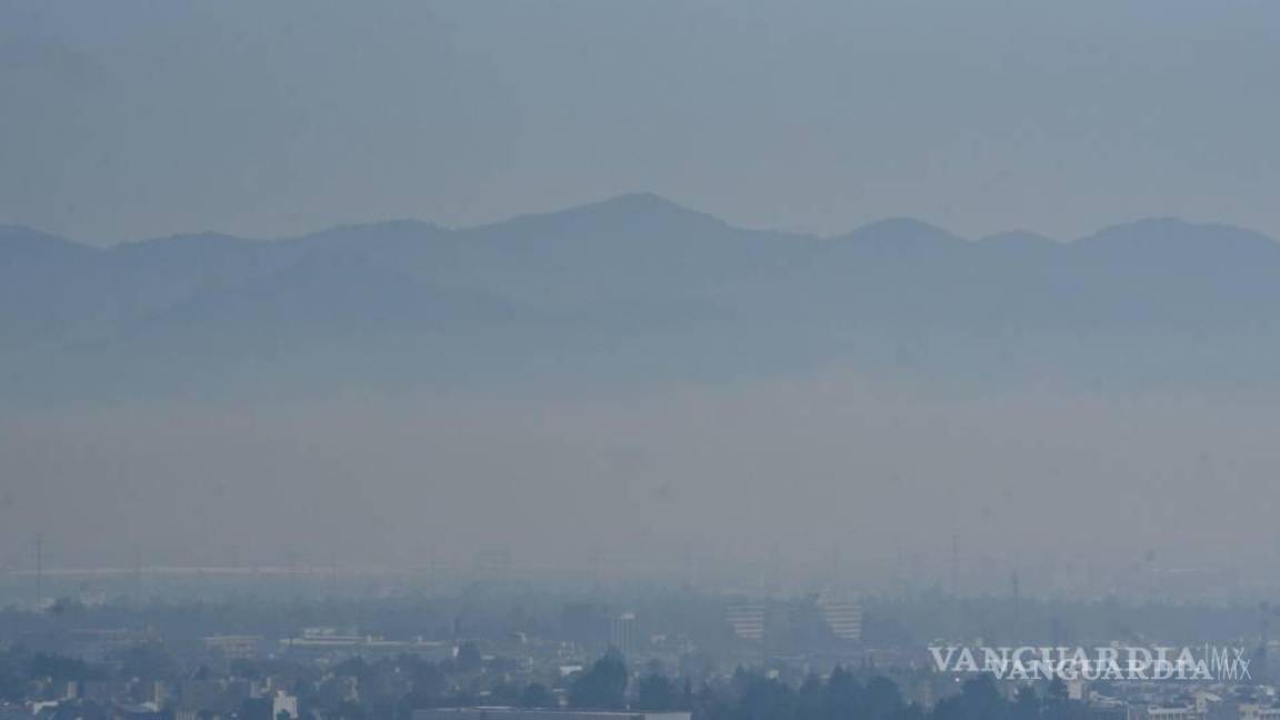 $!La OMS ha hecho planteamientos para que las ciudades adopten medidas y reduzcan los índices de polución.