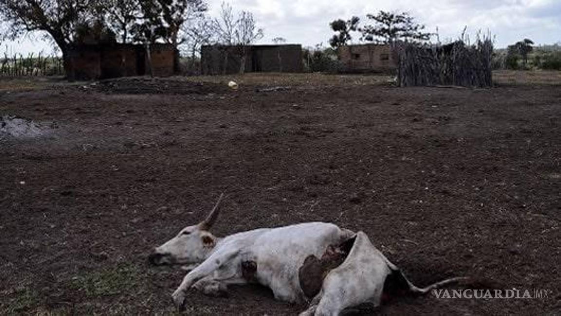$!Advierten que las regiones del norte sufrirán sequías más frecuentes y extremas