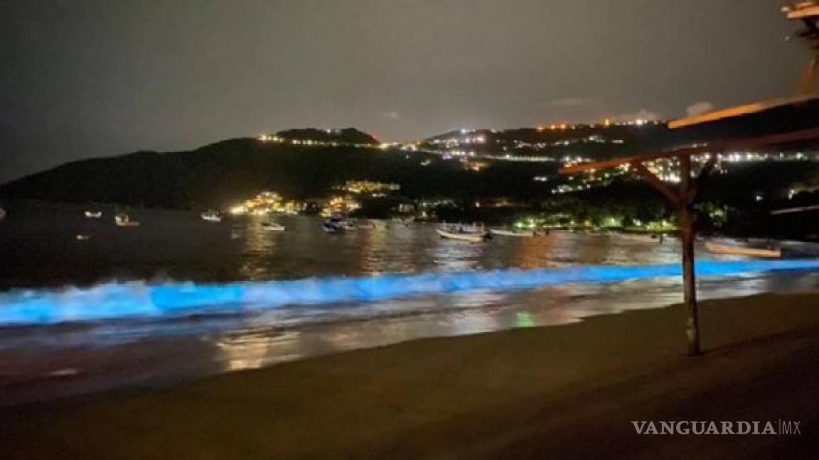 ¿Qué es la Bioluminiscencia?... el espectáculo del mar nocturno que se apreció en Acapulco