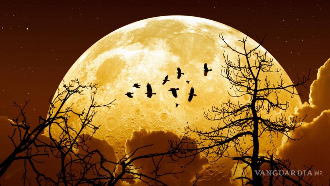 El lunes una “superluna” iluminará la bóveda celeste