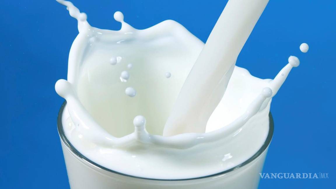 ¿La leche que tomas es segura?... según Profeco, esta es la lista negra de las marcas más ‘chafas’ y engañosas