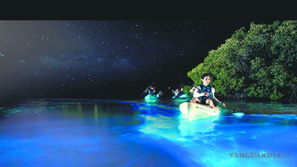 $!Puerto Rico y sus bahías bioluminiscentes