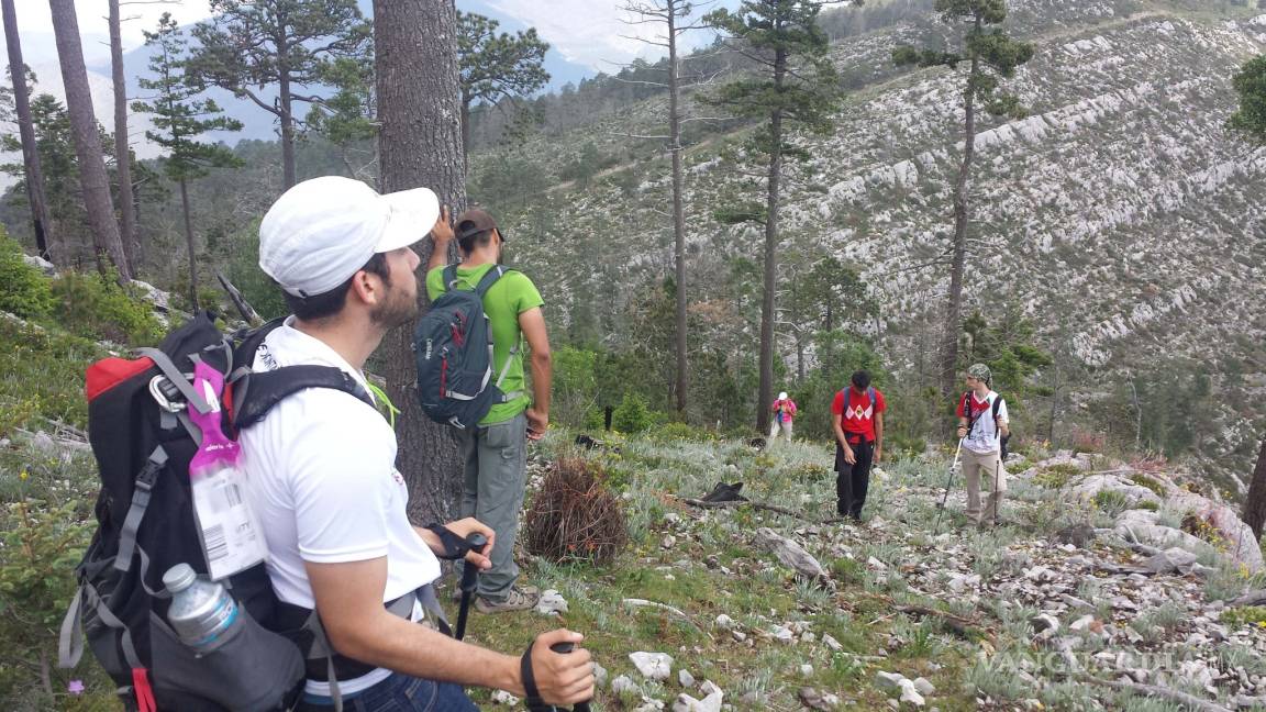 Piden a Arteaga vigile la zona boscosa