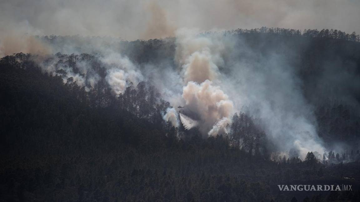 $!Incendio arrasa con 5 mil hectáreas de bosque en España
