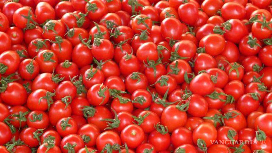 Productores de EU piden aranceles a tomate mexicano