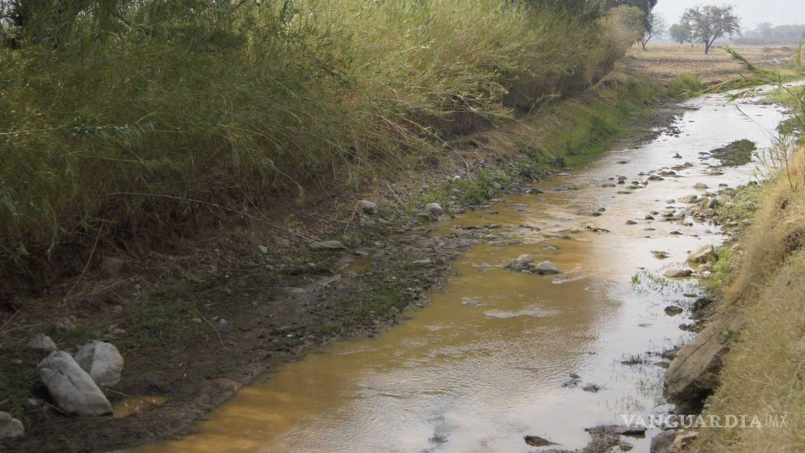 Clausuran 30 empresas por contaminación de río Atoyac