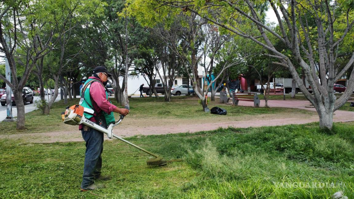 $!Trabajos de poda y mantenimiento mejoran la imagen de accesos y vialidades principales.