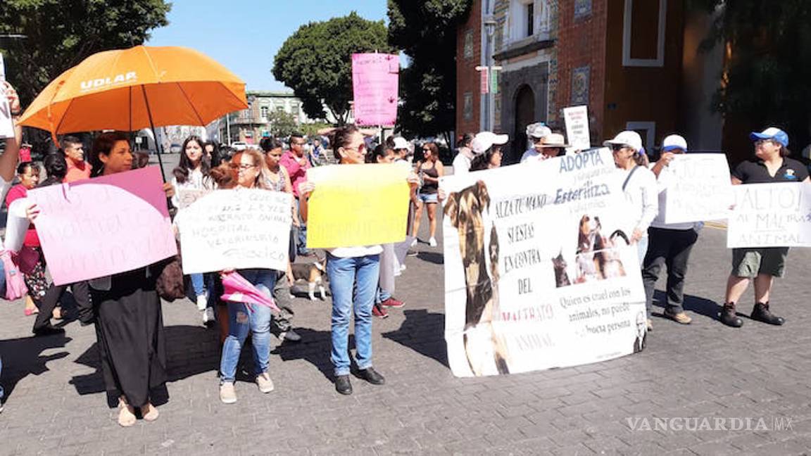 $!Protestan por liberación de mujer acusada de asesinar perros en Puebla