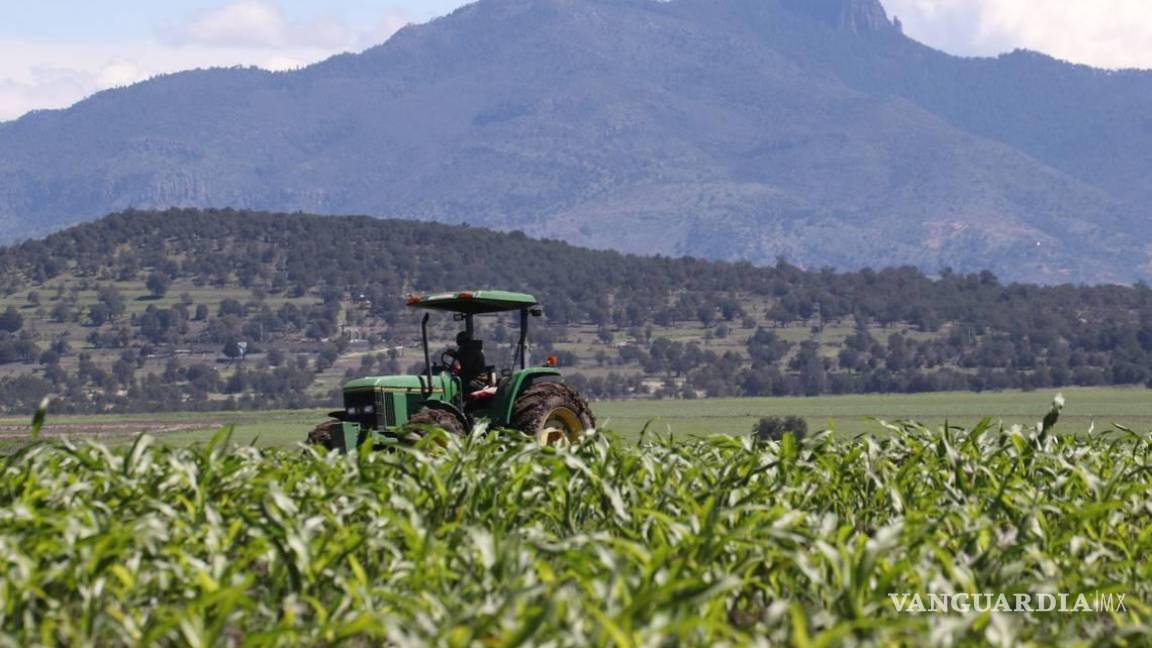 Agricultura e industria, responsables del 84% del consumo de agua en México