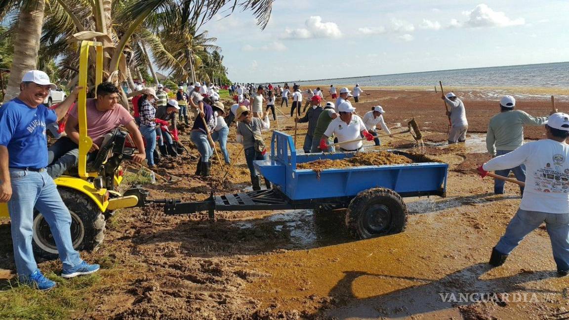 Instalan barreras contra sargazo en Playa del Carmen, Tulum y Mahahual