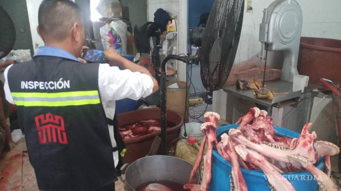 Clausuran congeladores de carnicería de Torreón por insalubres