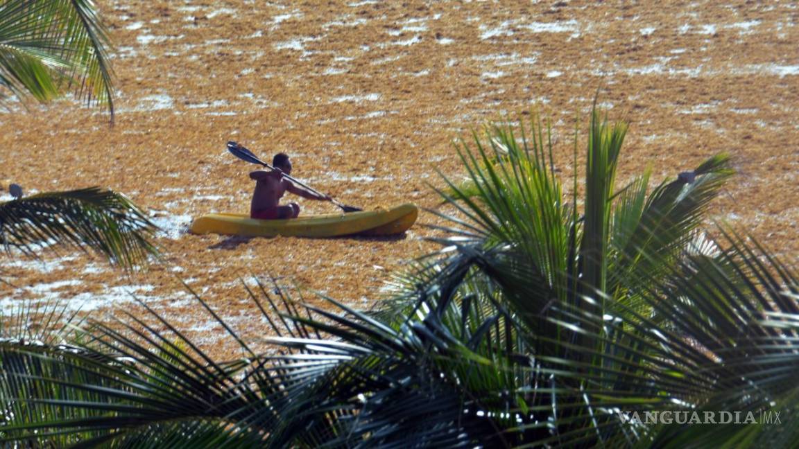 Quintana Roo solicitará 218 mdp más para mitigar el sargazo en sus playas