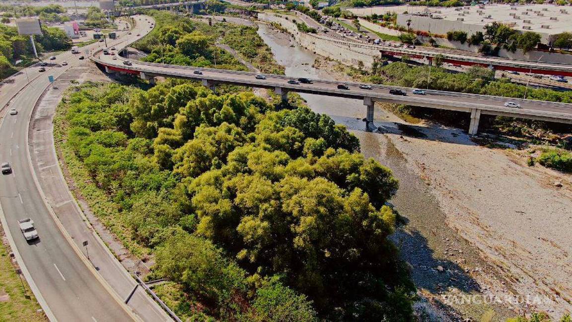 $!Las autoridades no han dicho cómo van a compensar estos servicios ambientales que aporta el mayor bosque urbano de la zona metropolitana de Monterrey