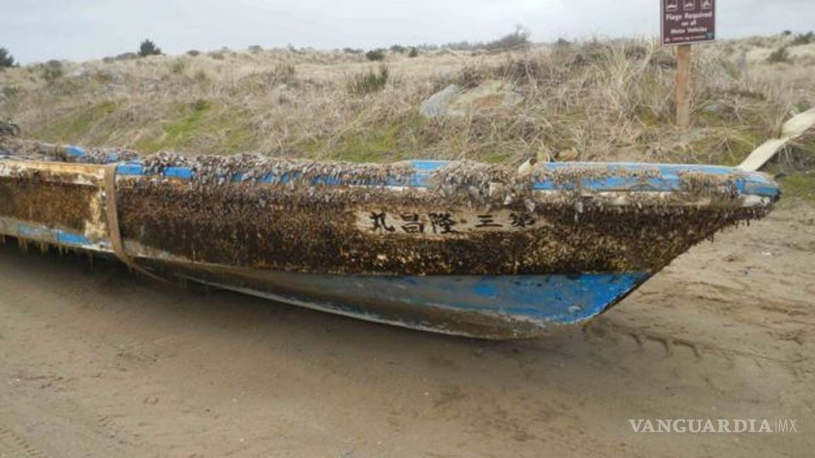 $!Tsunami en Japón arrastró especies marinas a costas de EU