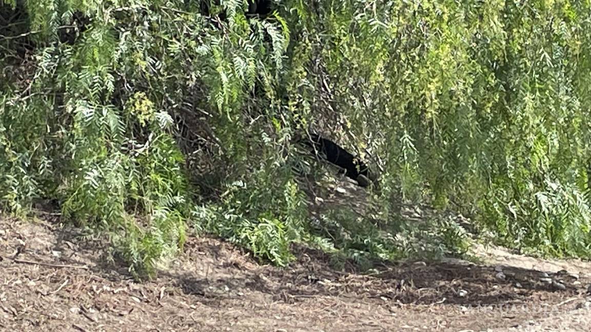 Saltillo: día de campo termina en tragedia; familia acude a rezar y niños encuentran a mujer sin vida