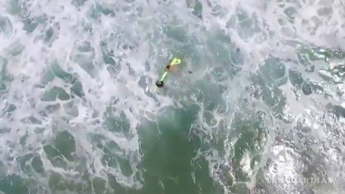 Con un dron, salvan la vida de dos jóvenes surfistas en Australia