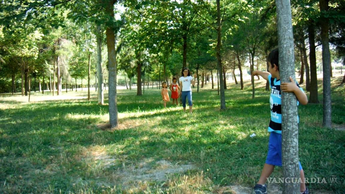 6 ideas para que sus hijos disfruten jugar en la naturaleza (Y sacarlos ...