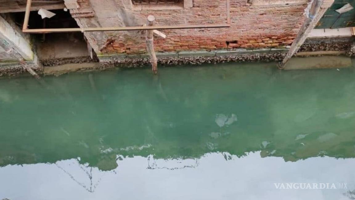 $!Venecia respira; el agua de sus canales se aclara por aislamiento de Coronavirus