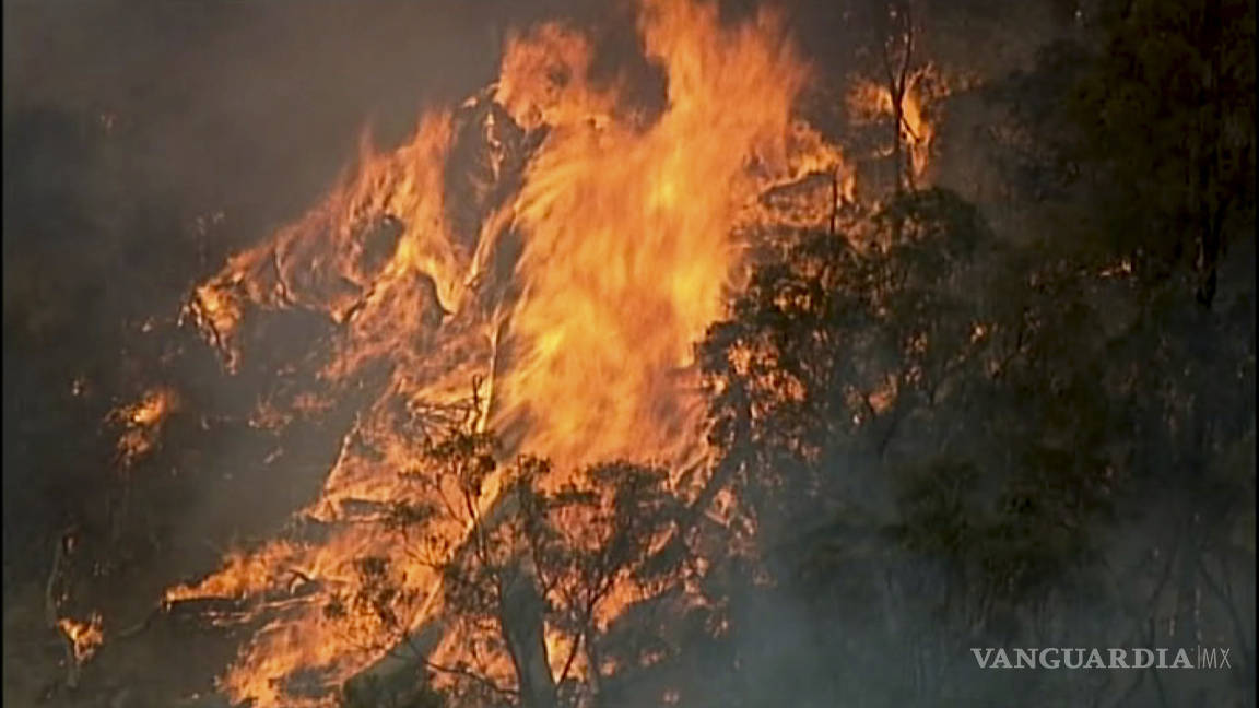 Incendios forestales en Australia impiden celebraciones de fin Año Nuevo