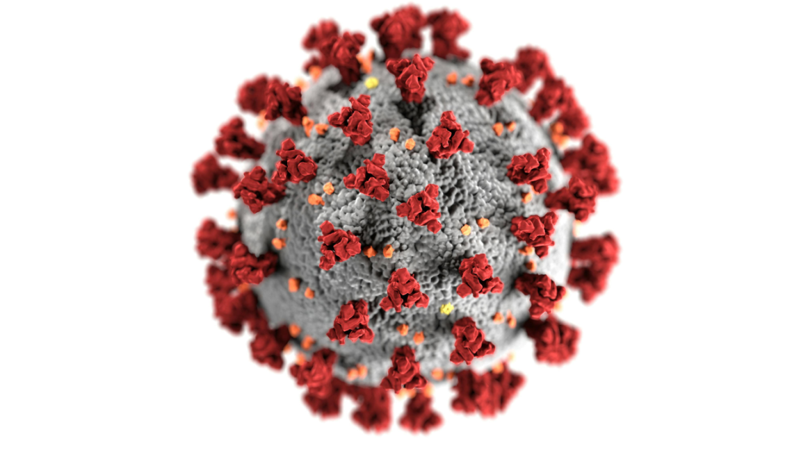 Virus HMPV: ¿Qué es, cuáles son sus síntomas y cómo detectarlo?