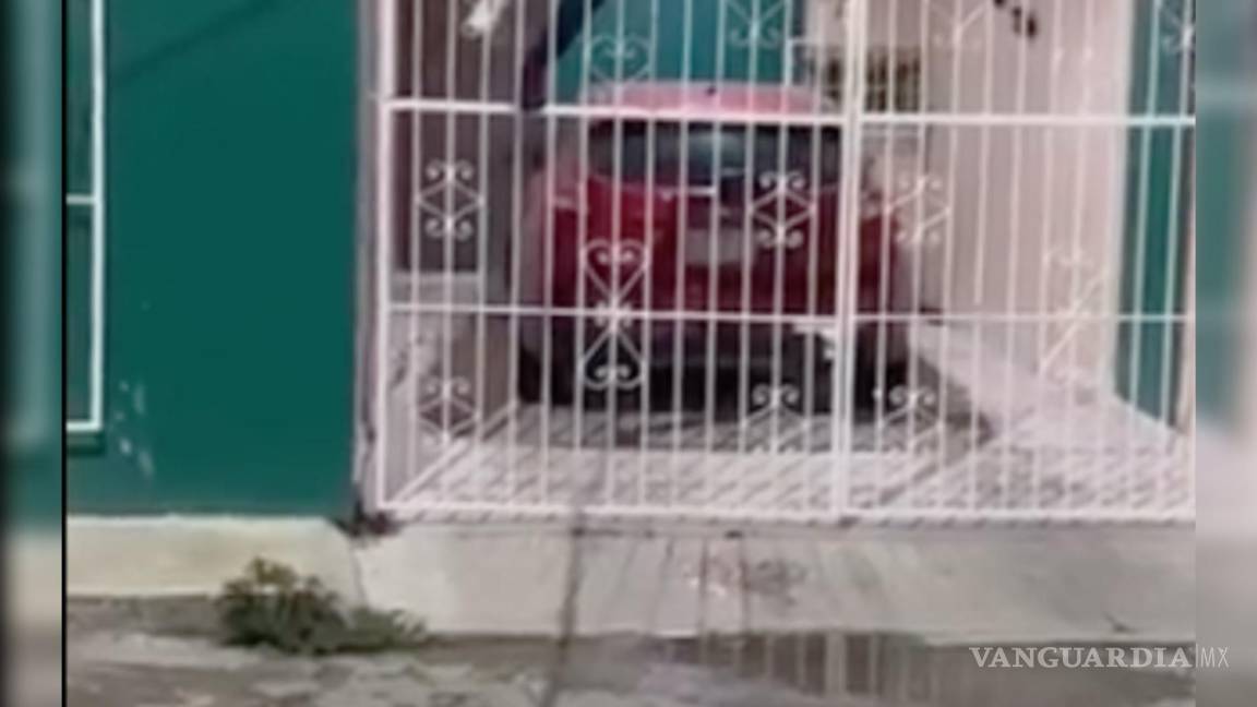 Tras hacerse viral, ladrón ensartado en reja de Campeche sobrevivió y queda libre