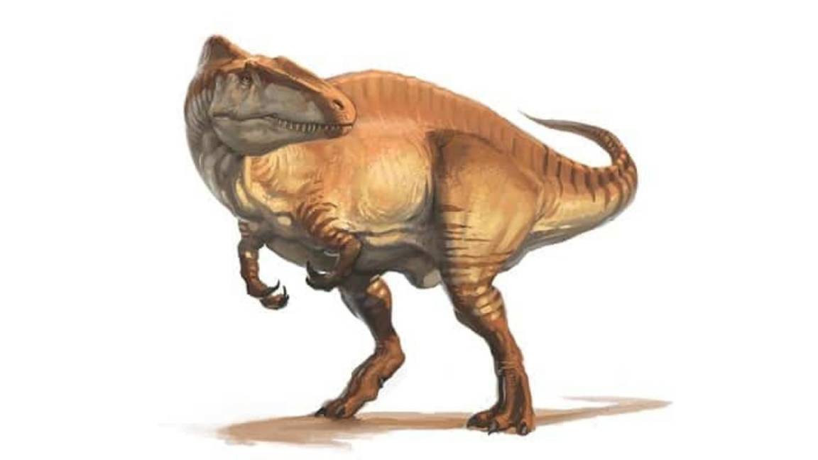 $!Los terópodos fueron dejadas por la especie carnívora “Acrocanthosaurus”.
