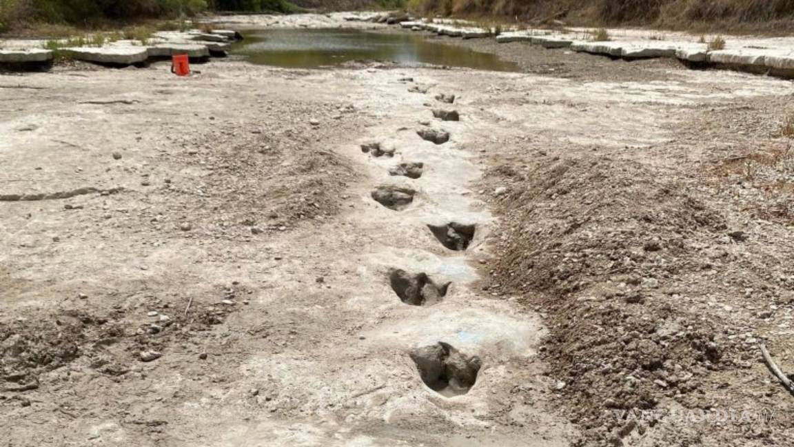 Huellas de dinosaurios fueron descubiertas tras sequía en un río de Texas