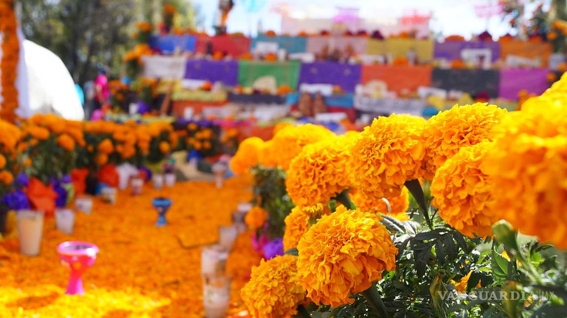 $!18 cosas que tal vez no sabías sobre el Día de Muertos