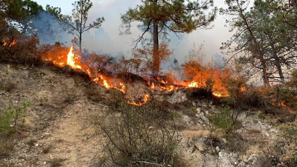 $!Casi 30 mil hectáreas quemadas, México sufre una de sus peores temporadas de incendios forestales