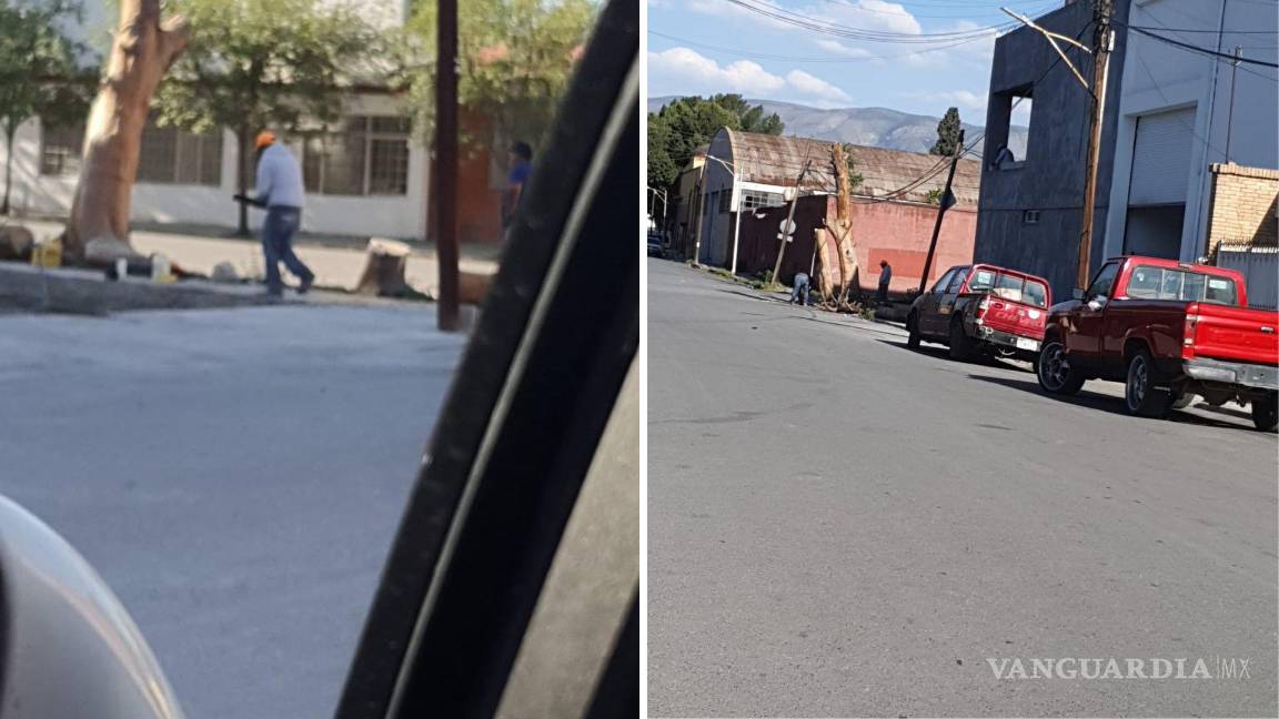 Captan nueva tala de árboles en colonia República de Saltillo; vecinos exigen vigilancia ambiental
