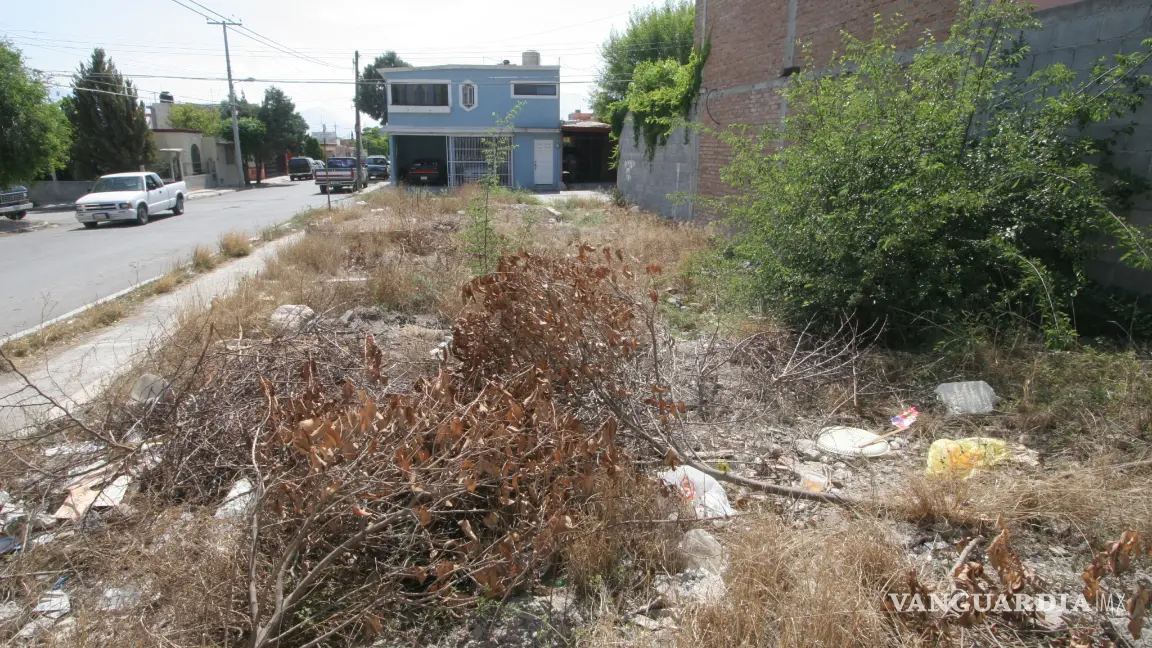 Saltillo va contra lotes baldíos abandonados, foco de incendios y plagas