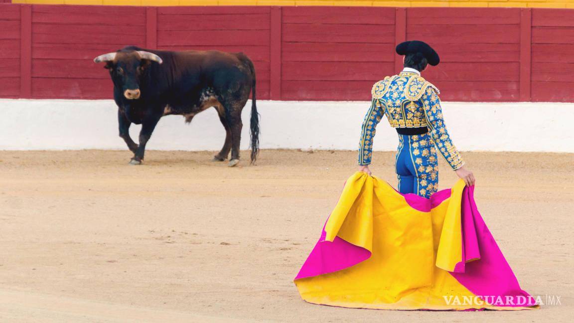 ¿Revivir la tauromaquia sin sacrificar al toro? Convoca Congreso de Coahuila a debates