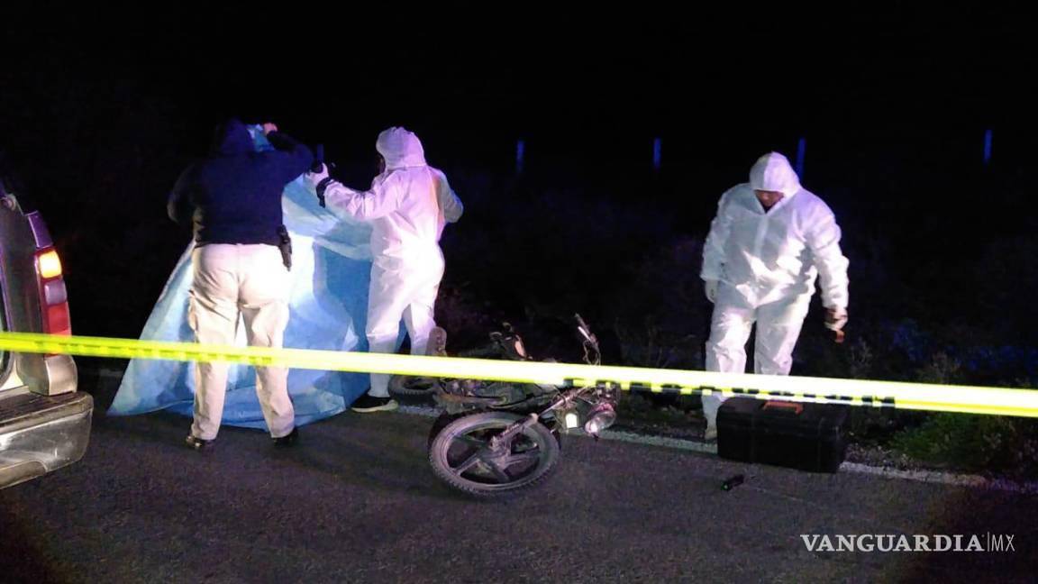 $!La falta de control sobre animales sueltos en las carreteras se destaca como un peligro latente.