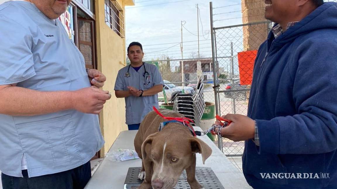 Habrá esterilizarán gratis en el Centro de Control Canino de Torreón