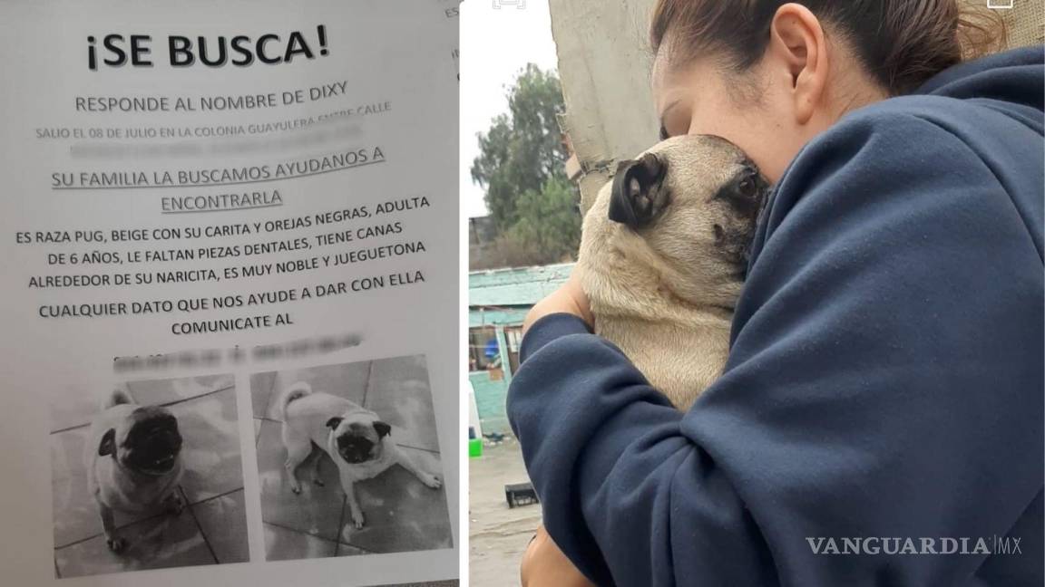 Saltillo: mujer encuentra a su perrita ‘Dixy’ tras siete meses extraviada