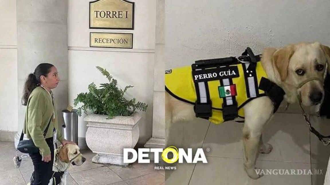 $!Sarahí Cruz Nava y Odín, su perro guía, a quien no dejaron entrar al Hotel Safi, de Monterrey.