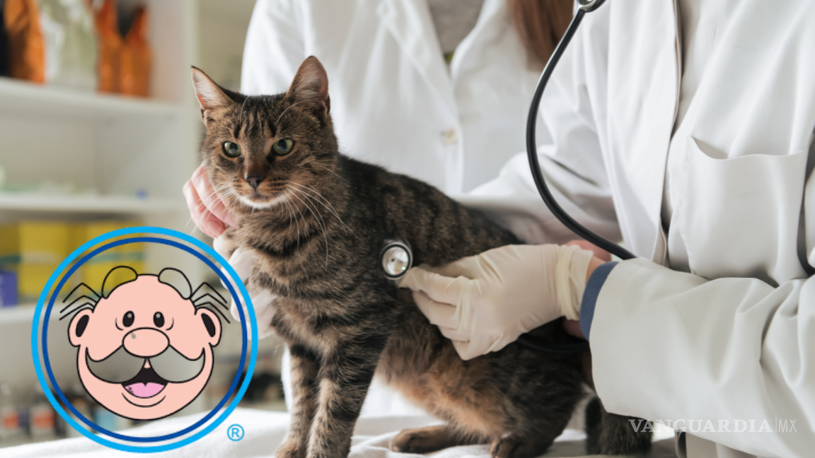 ¿Dónde y cuándo abrirán las veterinarias del Dr. Simi?