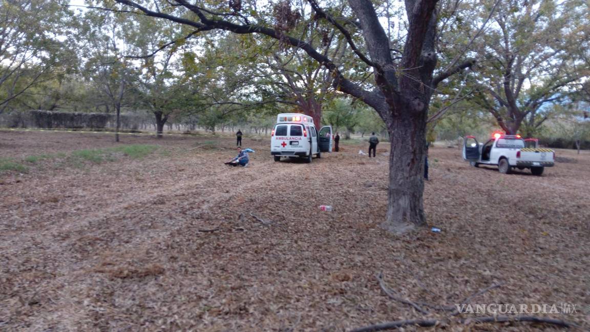 Cae de lo alto de un nogal y pierde la vida, en ejido de Parras