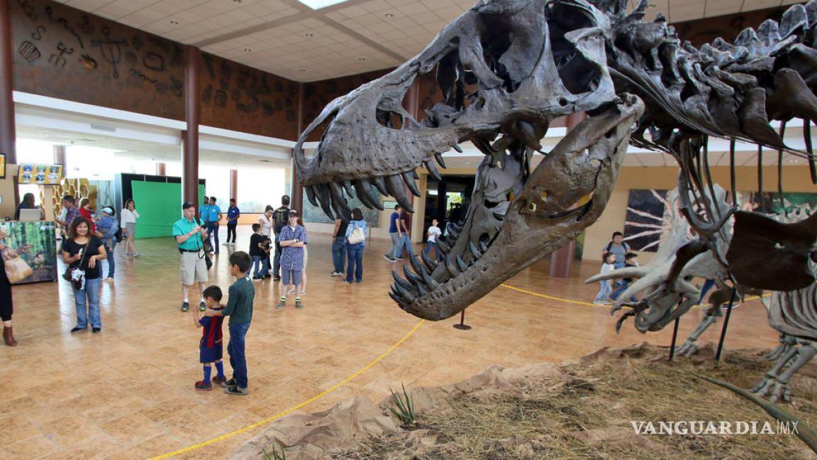 Los Museos de Historia Natural, los más representativos de Saltillo