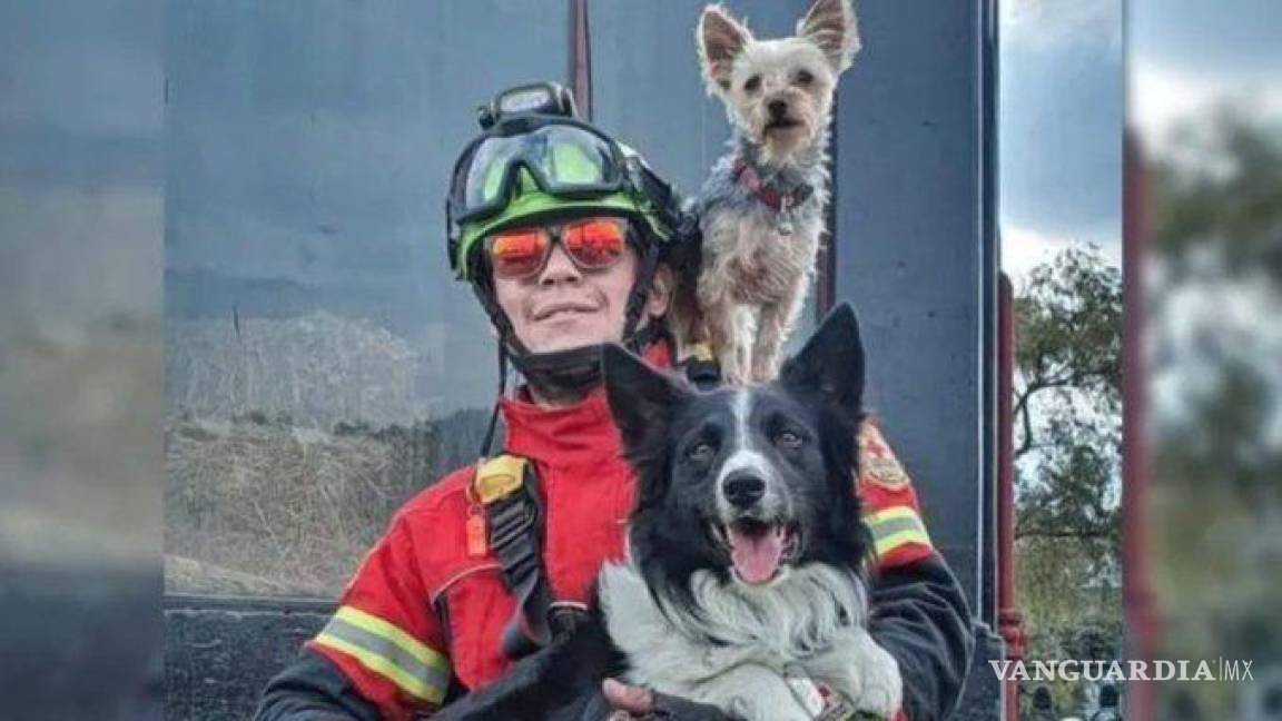$!Los dos perros formaban parte del equipo rescatista de la Cruz Roja.