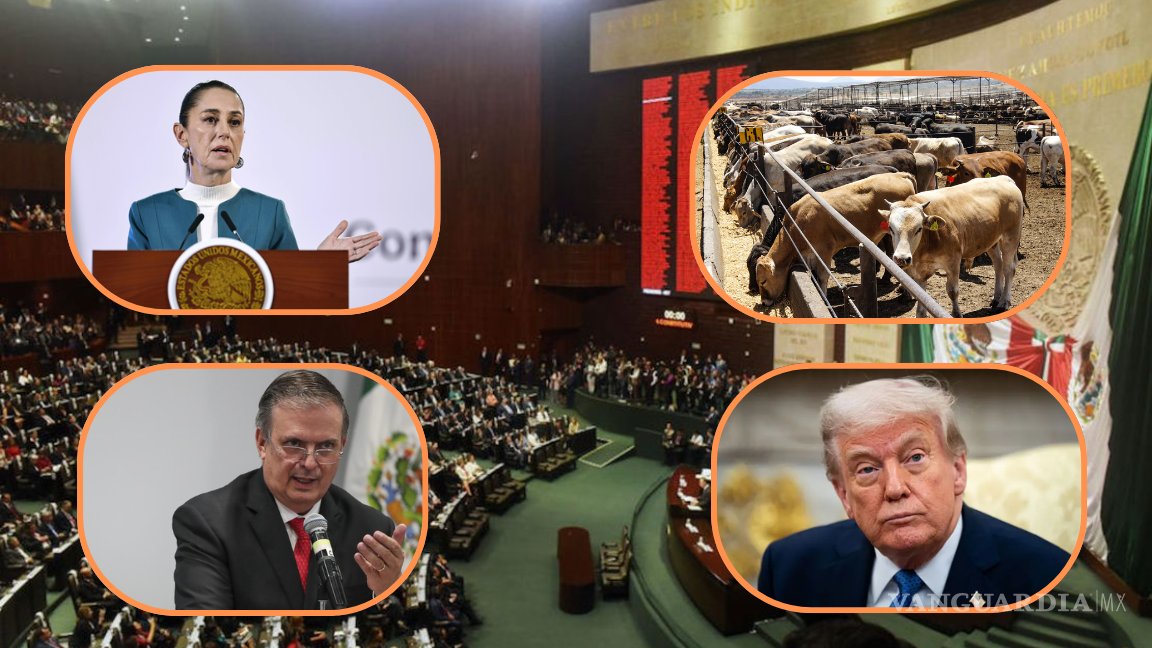 Las noticias más importantes del 10 de julio en México