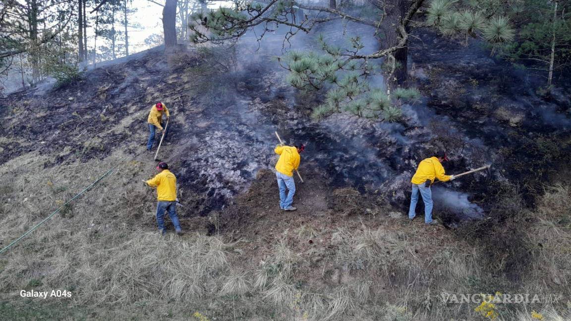 $!Brigadas trabajaron en conjunto para sofocar las llamas en el predio Lotananza, entre Monterreal y Los Oyameles.
