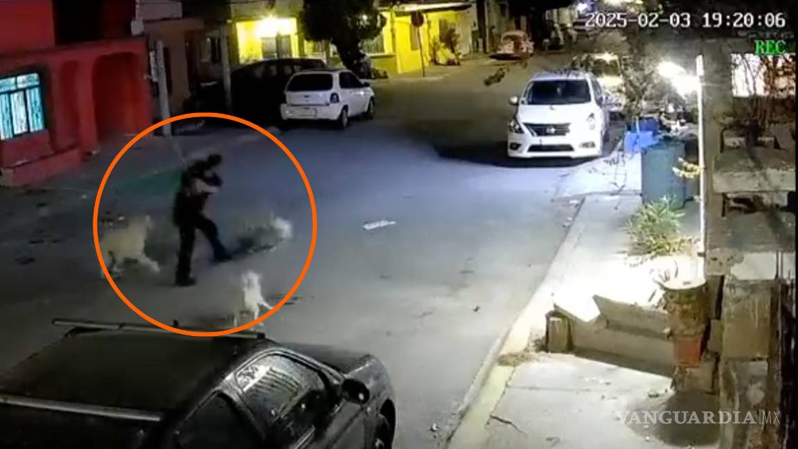 Captan a hombre golpeando a una perrita con bat en Ramos Arizpe (video)