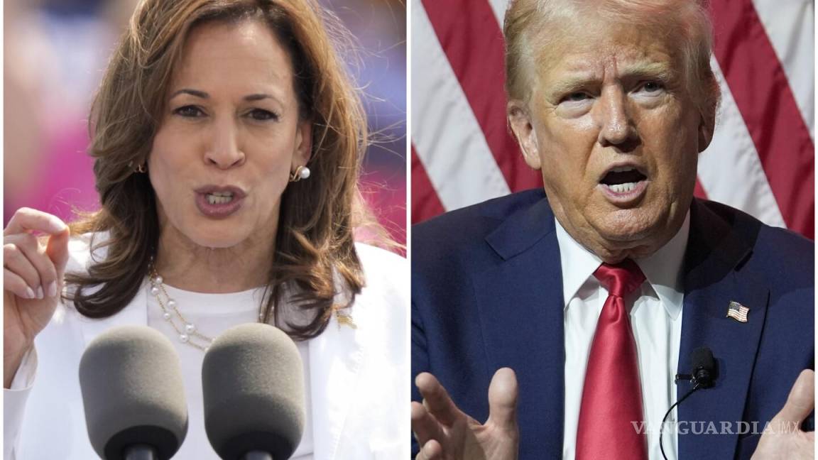 Gurú de datos afirma que hay un 60% de posibilidades de que las elecciones de EU terminen con una victoria aplastante de Trump o Kamala