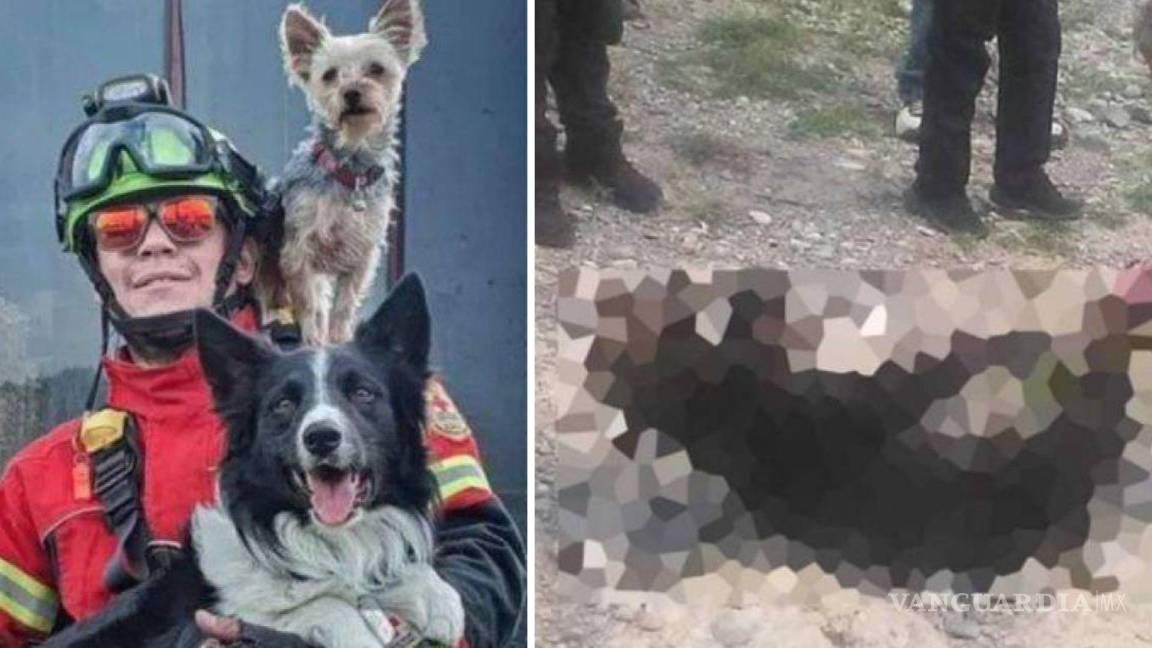 ‘Te das cuenta de quiénes son los verdaderos animales’; como en Querétaro, piden justicia por muerte de osezna en Coahuila