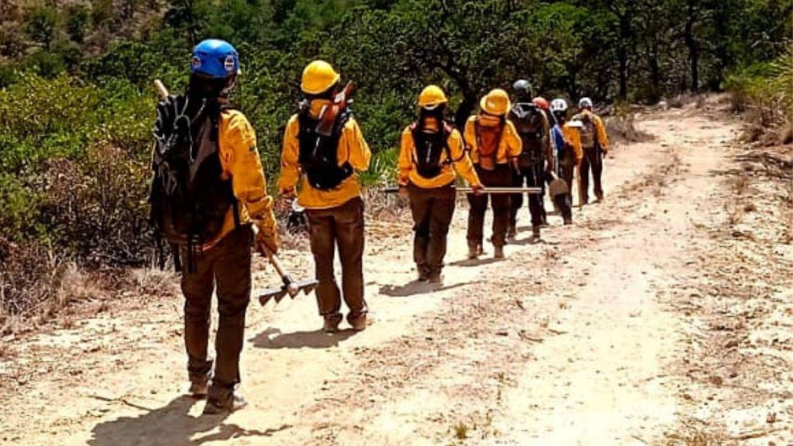 Las Carpitas: de senderistas y amantes de la montaña, a brigadistas voluntarios en Coahuila