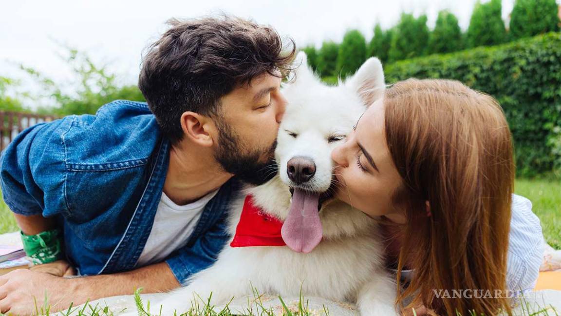 Los millennials aman a las mascotas más que a sus hermanos, parejas e incluso a sus madres: estudio
