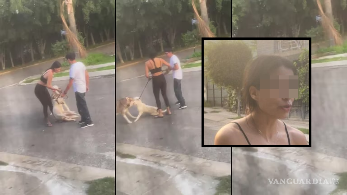 ‘Hasta que lo mate’, mujer asesina a perrito de la calle con ayuda de su Husky (video)
