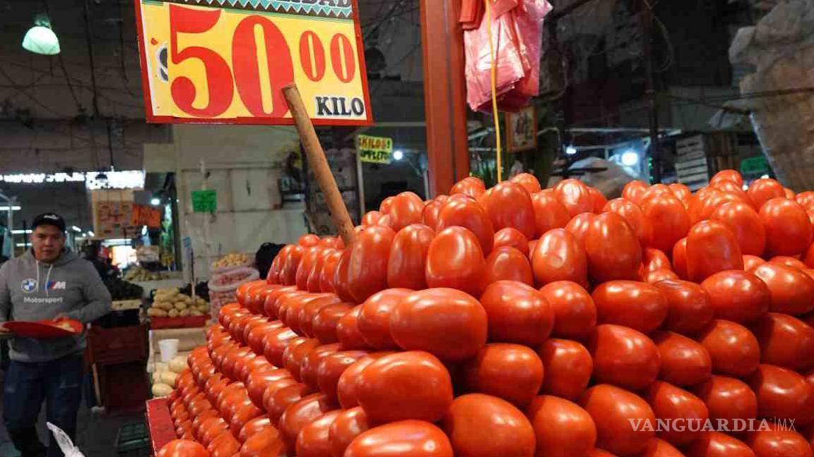 Sheinbaum busca ‘otras opciones’ ante arancel de EU al jitomate mexicano